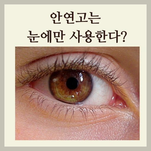 안연고: 개요 및 활용