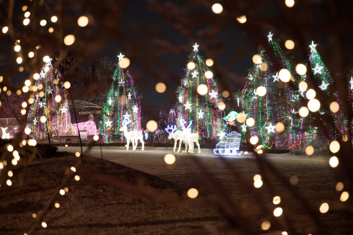 파주-퍼스트가든-12