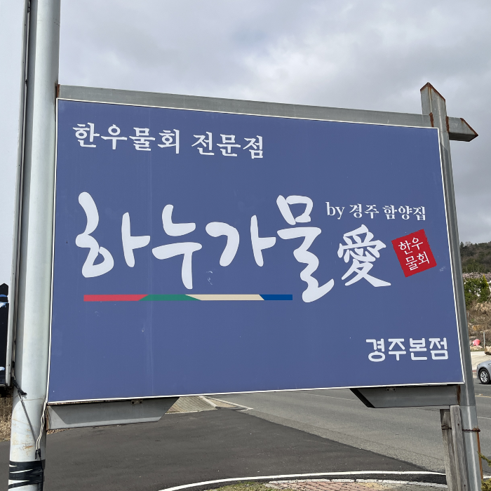 하누가물애
