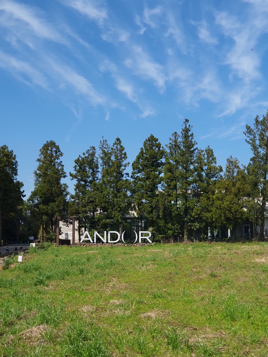 제주 구좌 송당무끈모루 안돌오름 밧돌오름 웨딩포토존 웨딩촬영 대형베이커리 카페 안도르 andor 인생샷