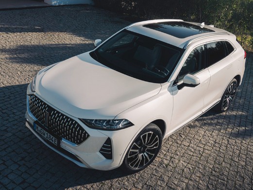 가장 안전한 차 - 웨이 커피 01 (WEY Coffee 01)