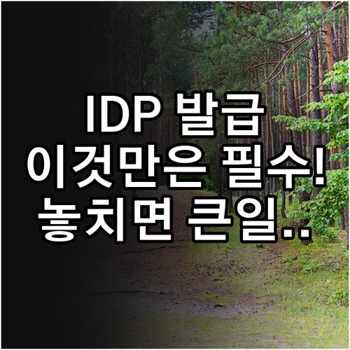 국제운전면허증 IDP 발급 신청 준비..