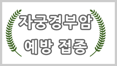 자궁경부암 예방접종