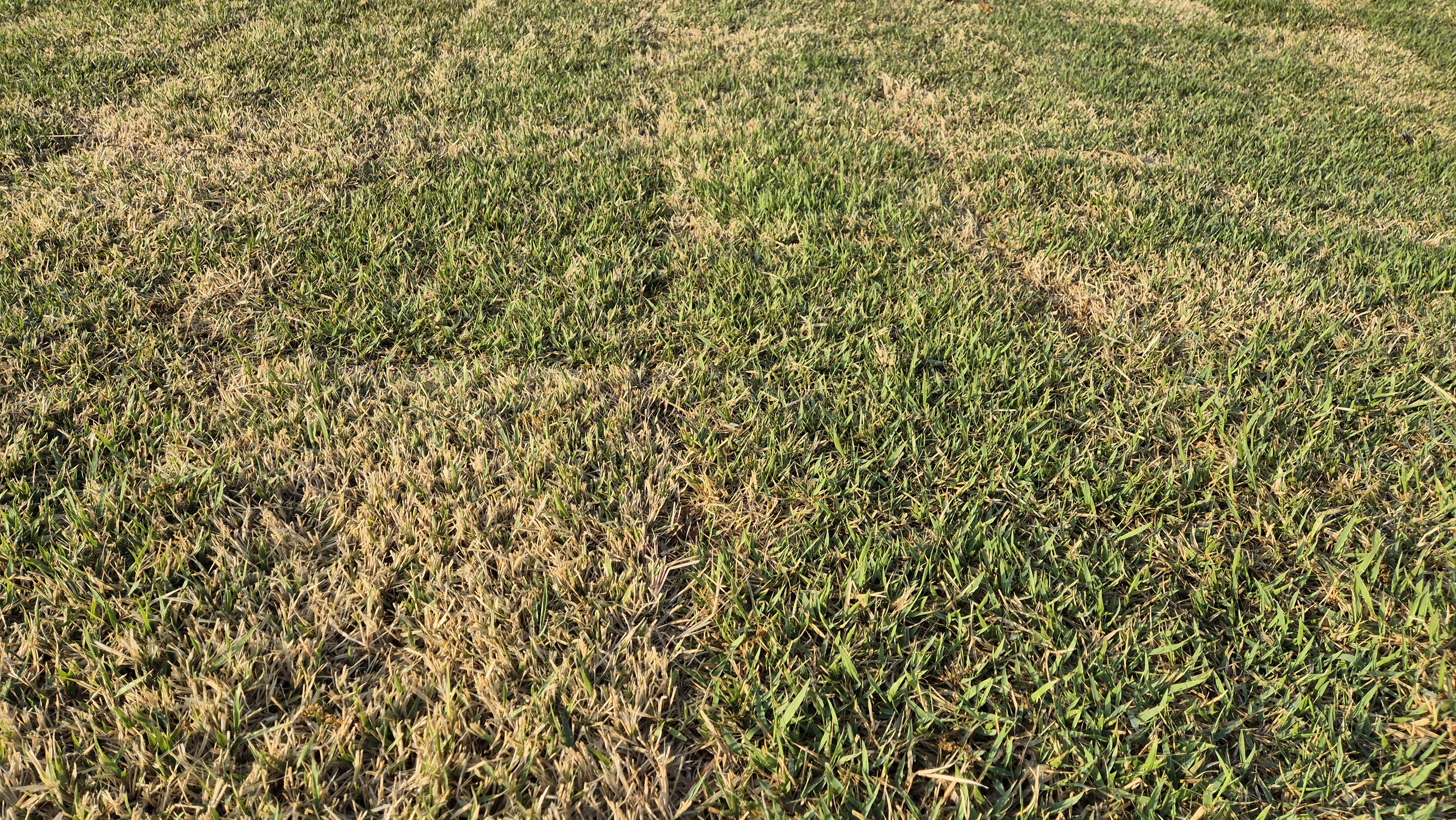 마에스트로cc 라운드 후기