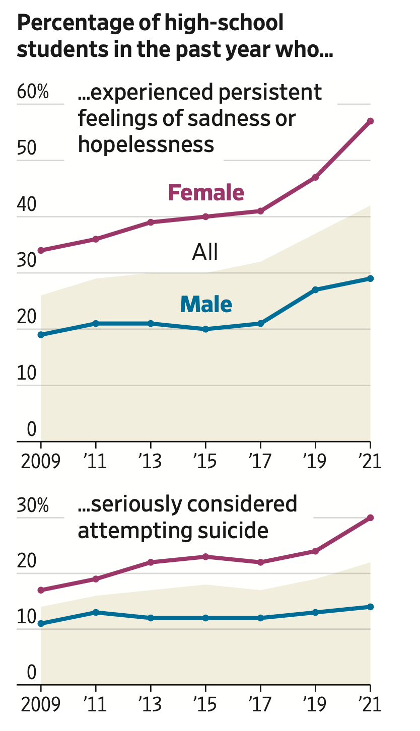 미국 10대 우울감