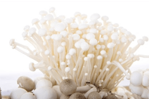 팽이버섯 효능03