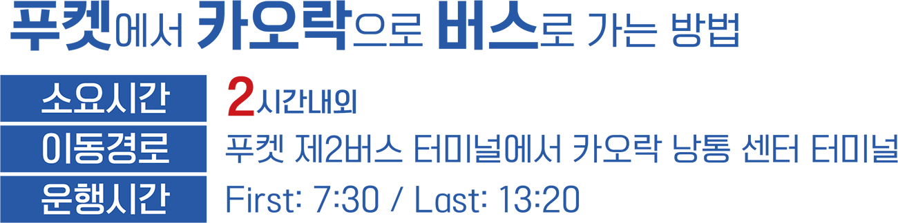 버스 이용법