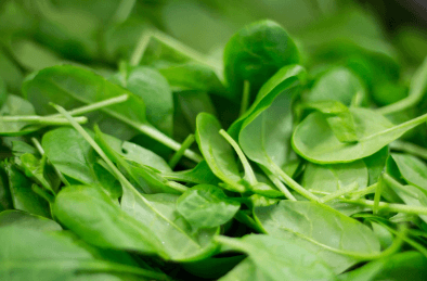 가을에 심는 작물