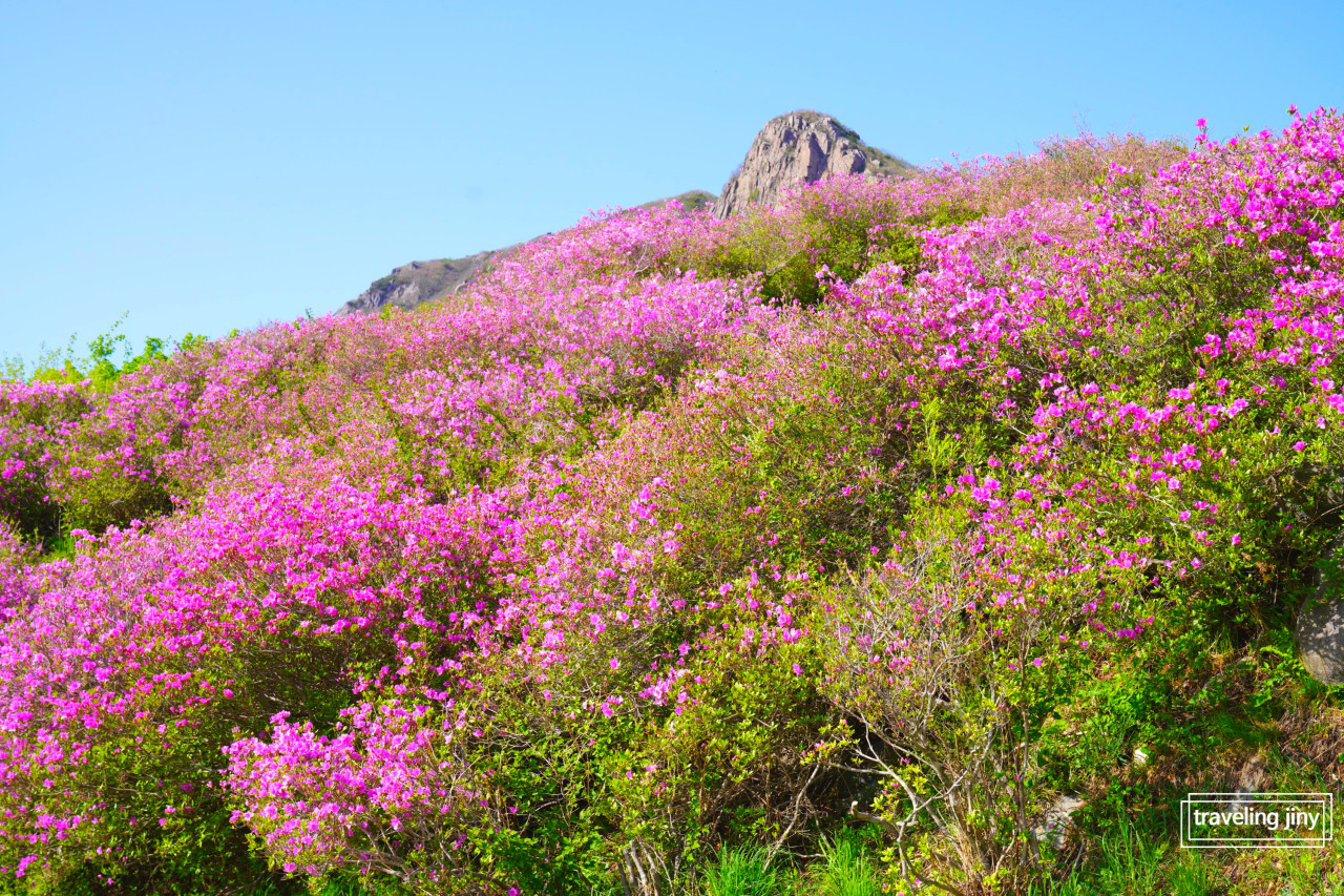 산청 가볼만한곳 베스트10