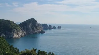 통영 연화도 수국 꽃길 산책 코스와 최적 관람 시기_14