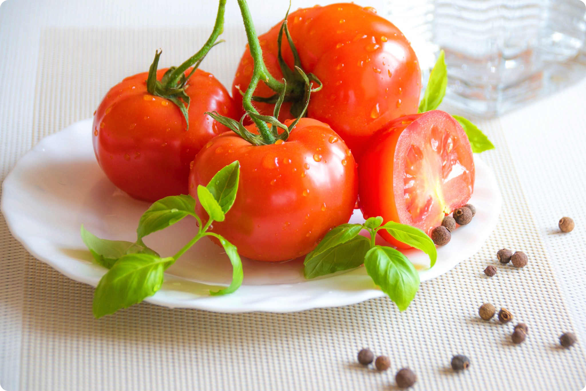 토마토-효능