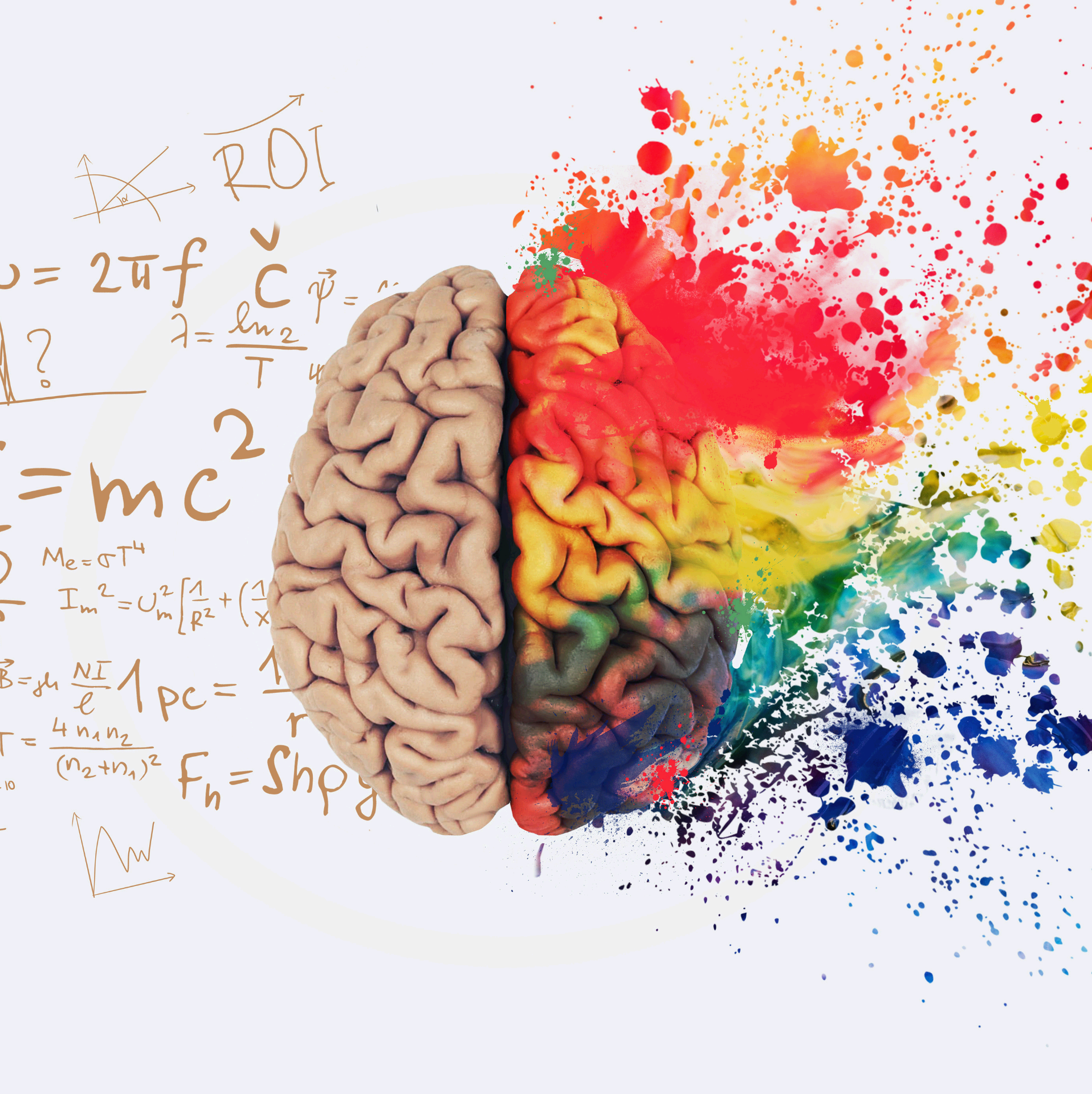 뇌 사진 뇌 건강