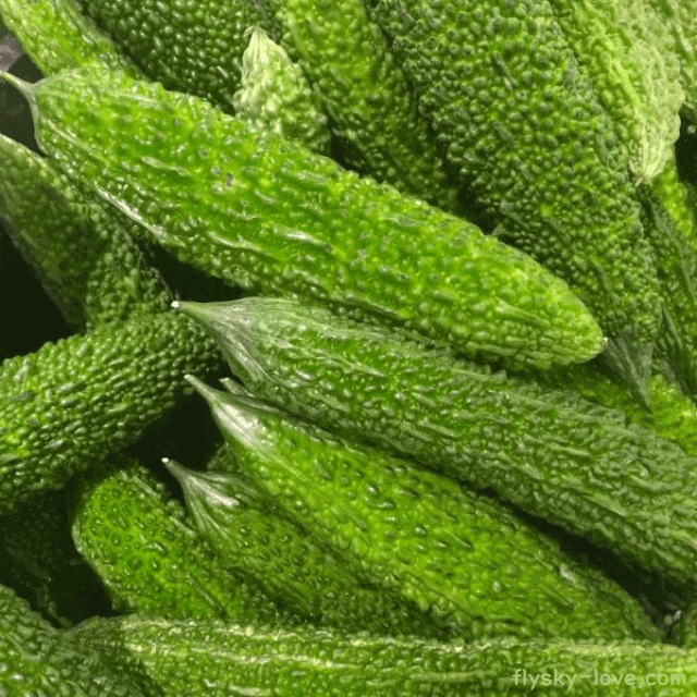 여주 효능