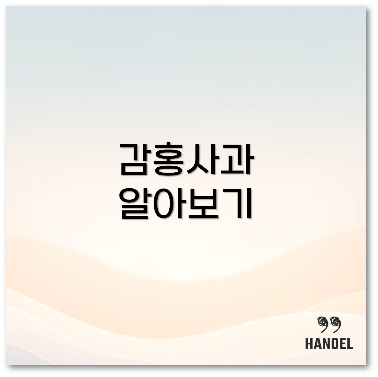 감홍사과 1