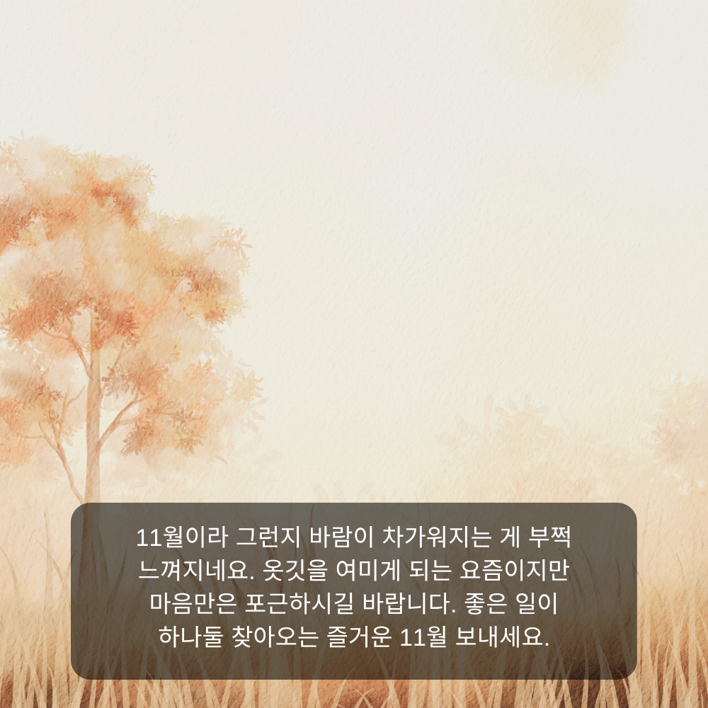 11월 인사말 1 바람 차가워진 11월 안부 인사말 이미지