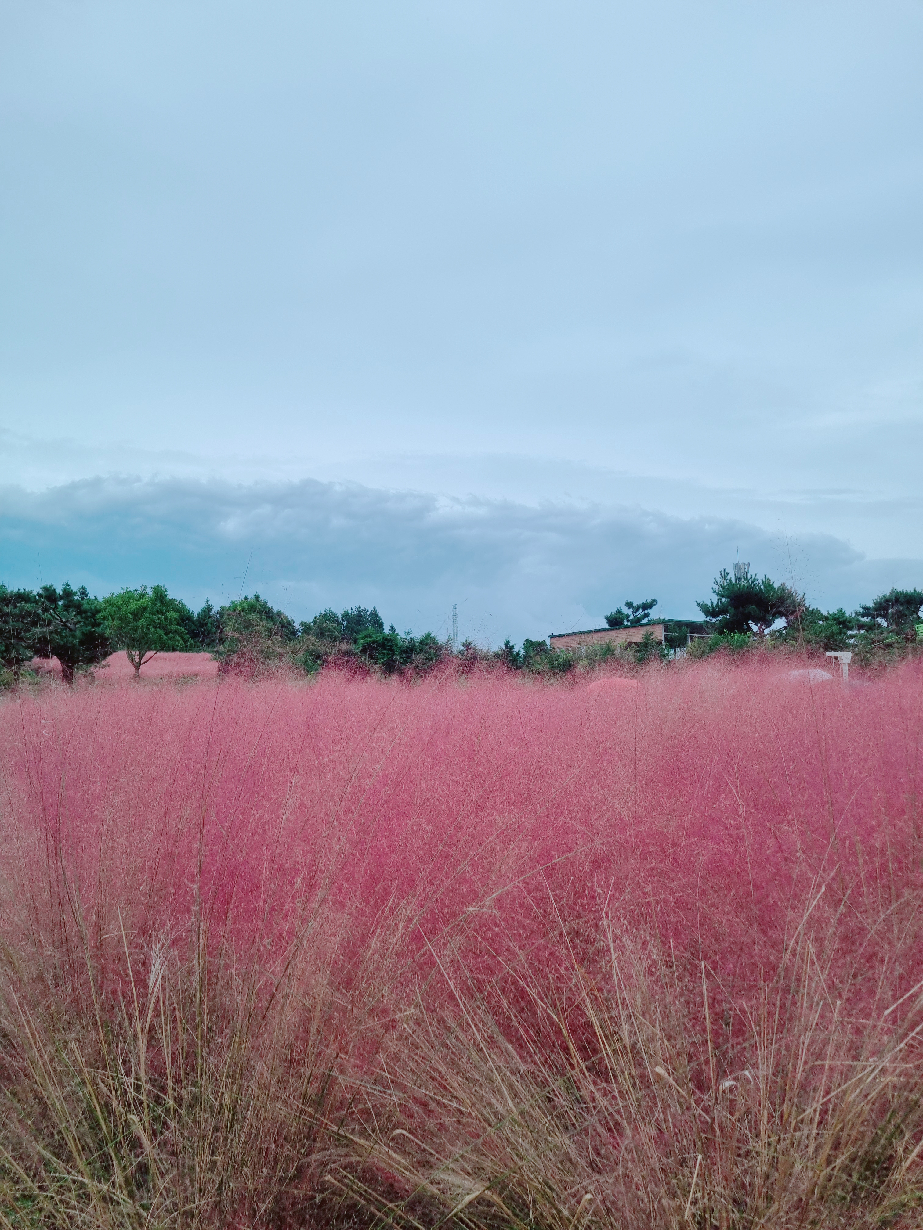 휴애리 자연생활공원