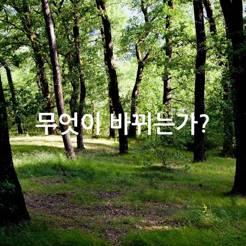 서울 백사마을 재개발