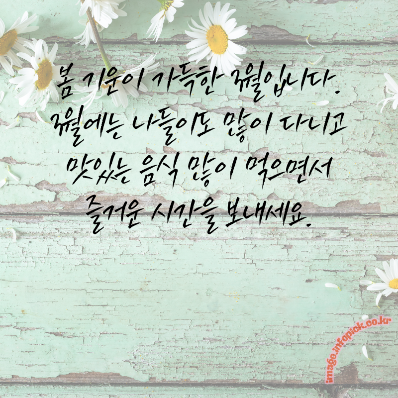 3월 인사말 문구 이미지 모음집3월 인사말 문구 이미지 모음집
