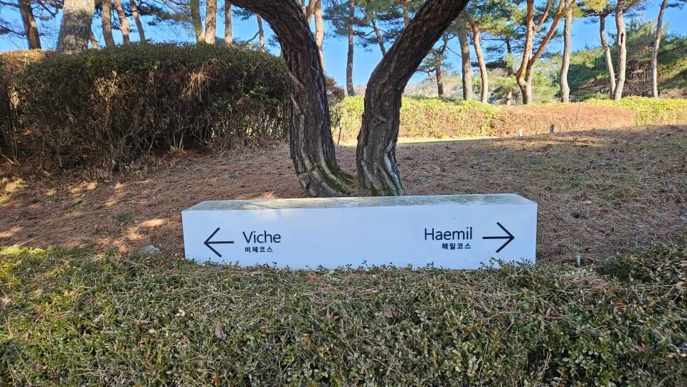 골프장 경험담 티클라우드cc 하늘위에서의 티샷 동두천 명문 골프장