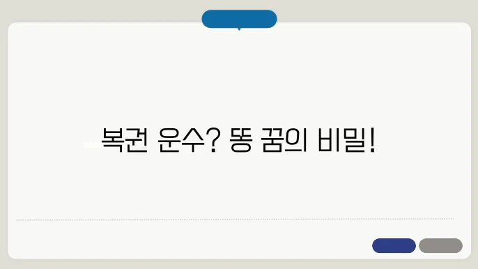 똥 꿈해몽 풀이