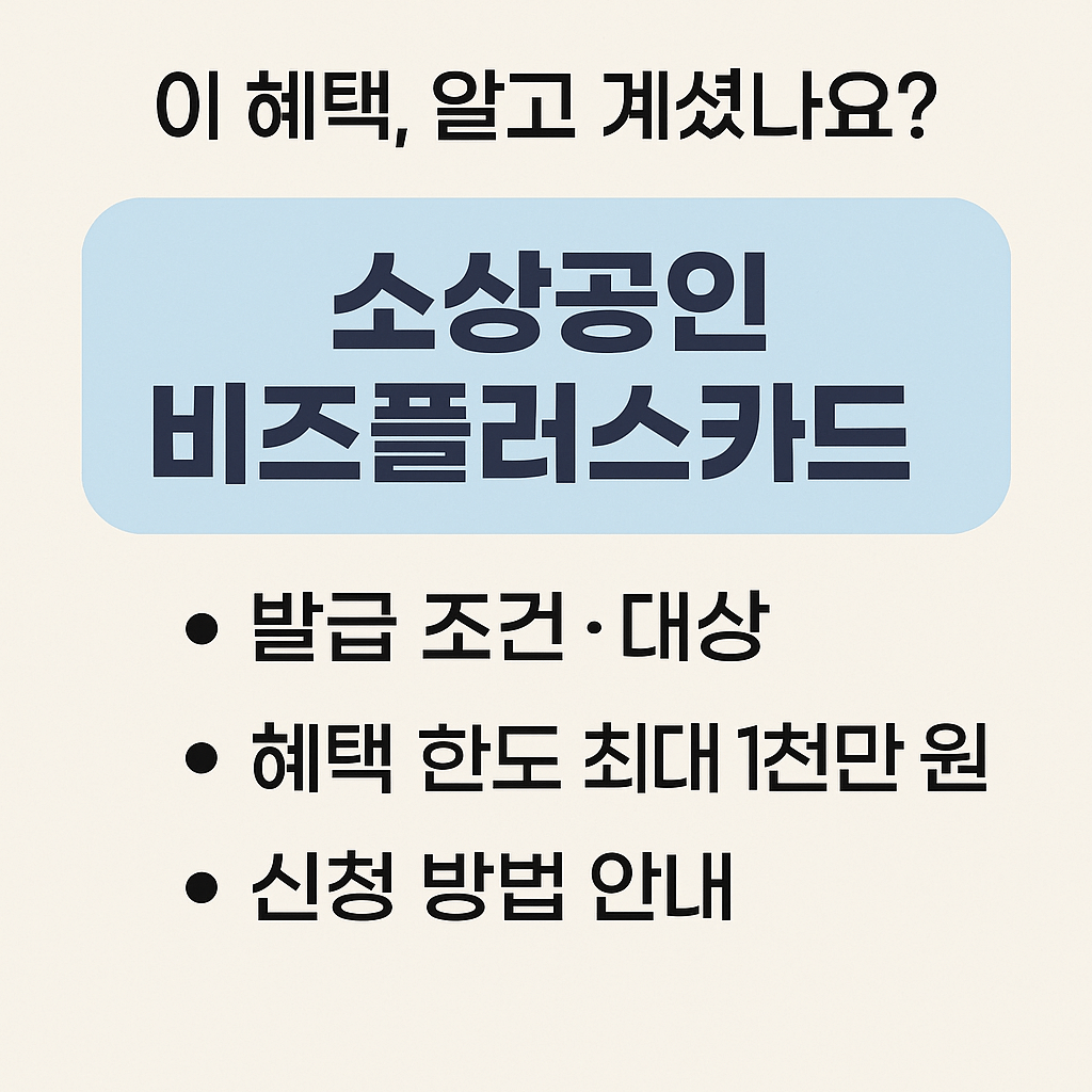 소상공인 비즈플러스카드