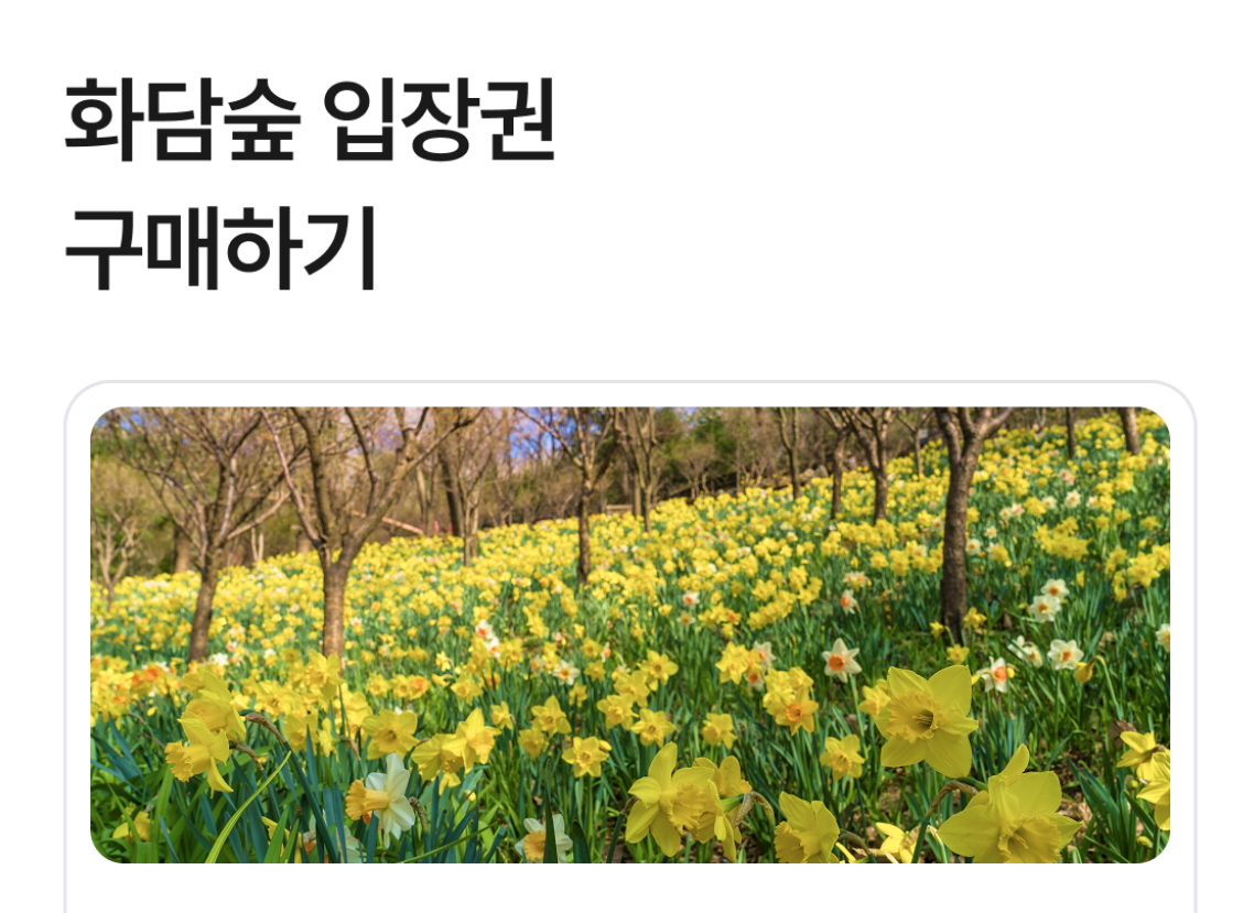 야놀자 화담숲 입장권