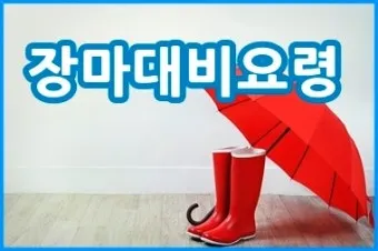 장마 시작 강수량 비 예보 배수구 점검 누수 예방 팁_24