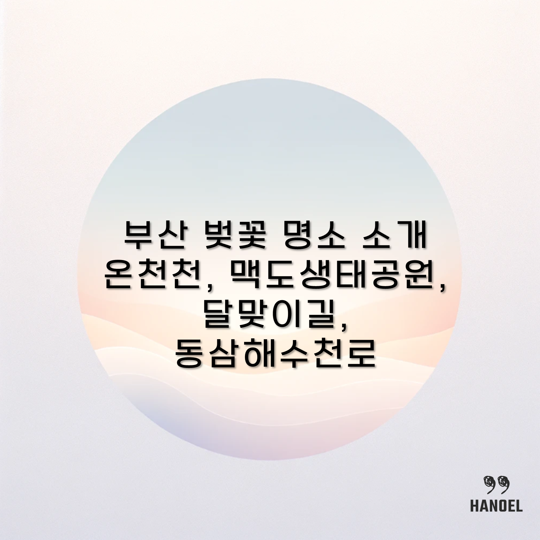 부산 벚꽃 명소 소개 온천천, 맥도생태공원, 달맞이길, 동삼해수천로
