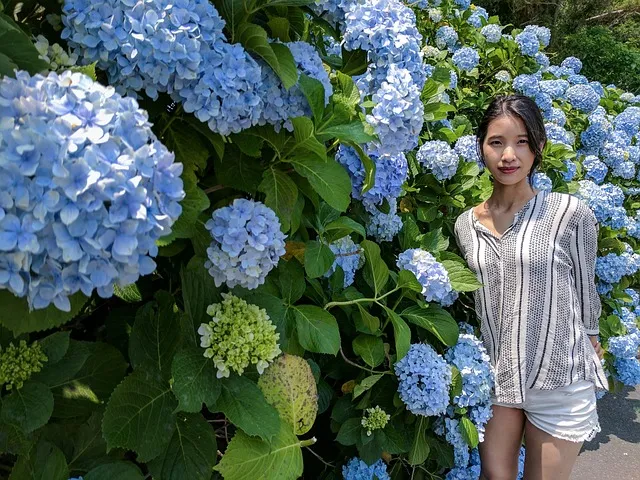 제주 숙박 예약 사이트_6