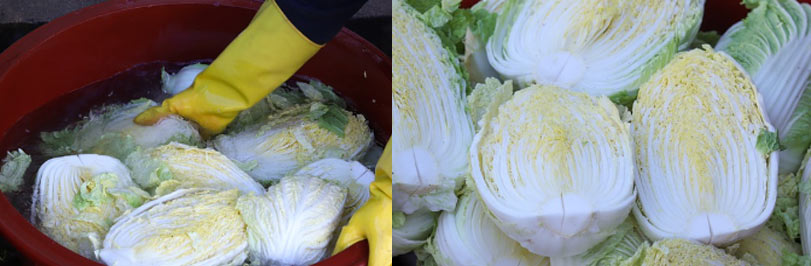 전라도식 김장 20kg 담그기 비법