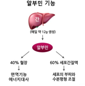 타우린 알부민 영양보충제