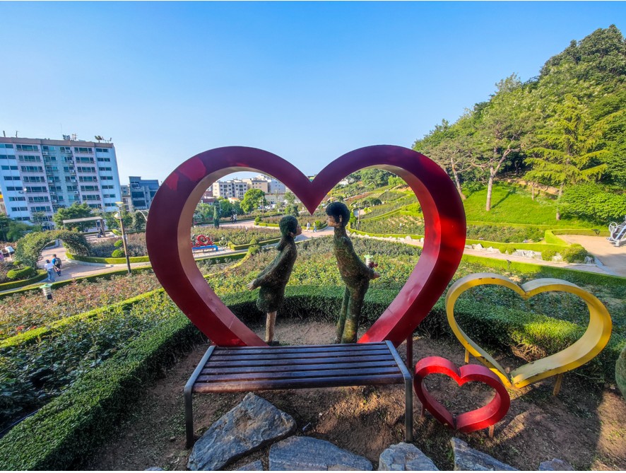 부천-백만송이장미-사진