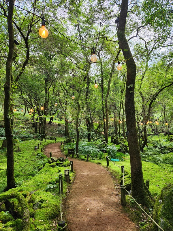 산책로