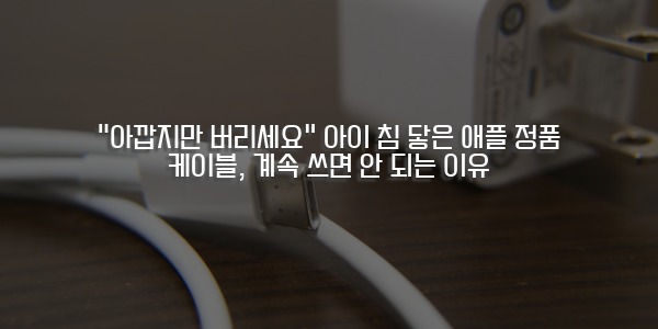 애플 정품 케이블과 충전기 어댑터 이미지 위에 "아깝지만 버리세요"라는 경고 문구가 쓰여 있음.