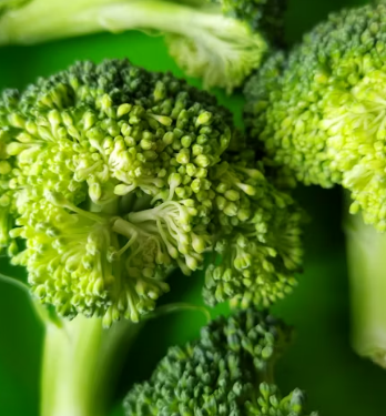 류마티스 관절염에 좋은 음식 영양제 식단