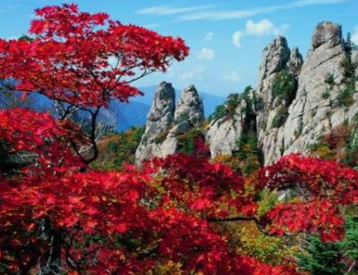 가을-여행하기-좋은-곳-추천