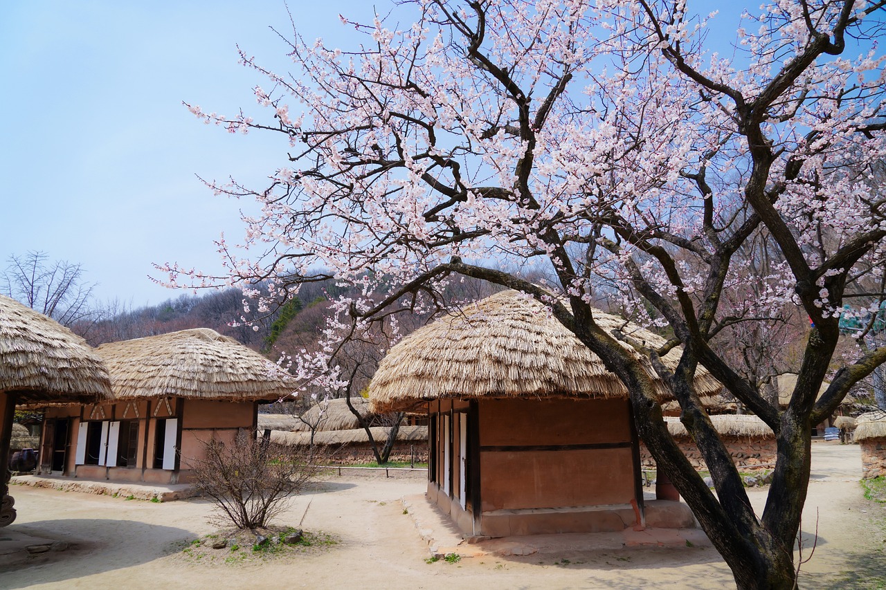 용인 한국 민속촌 사진
