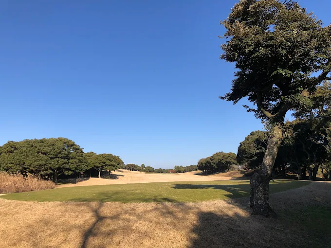 '캐슬렉스 제주 골프클럽' 소개 및 예약방법