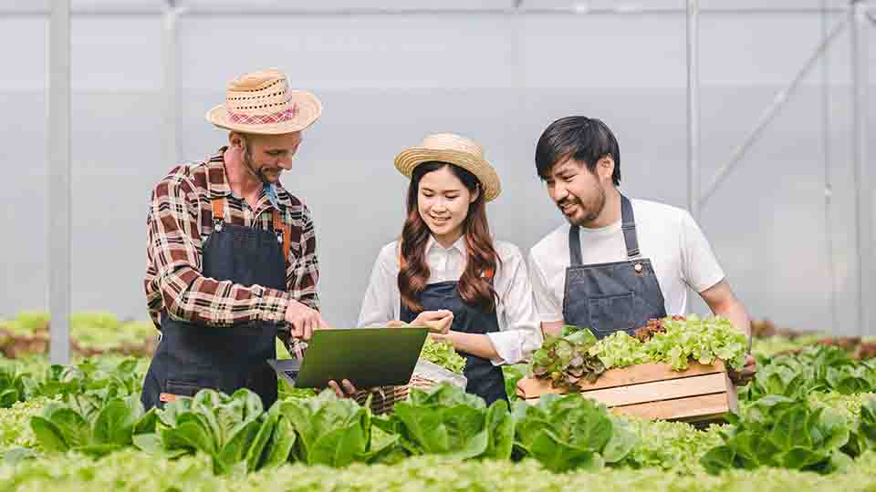 에너지 절감형 스마트팜 설계 : 냉난방, 보광, 환기의 최적 균형 찾기