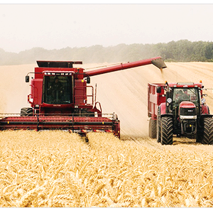 미국 옥수수 관련주 대장주 식량주 TOP5