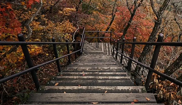 계단오르기 운동효과
