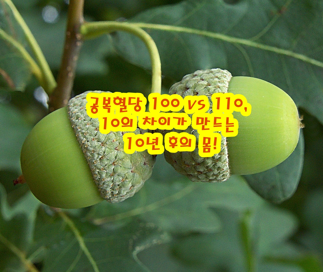 공복혈당 100 vs 110, 10의 차이가 만드는 10년 후의 몸!
