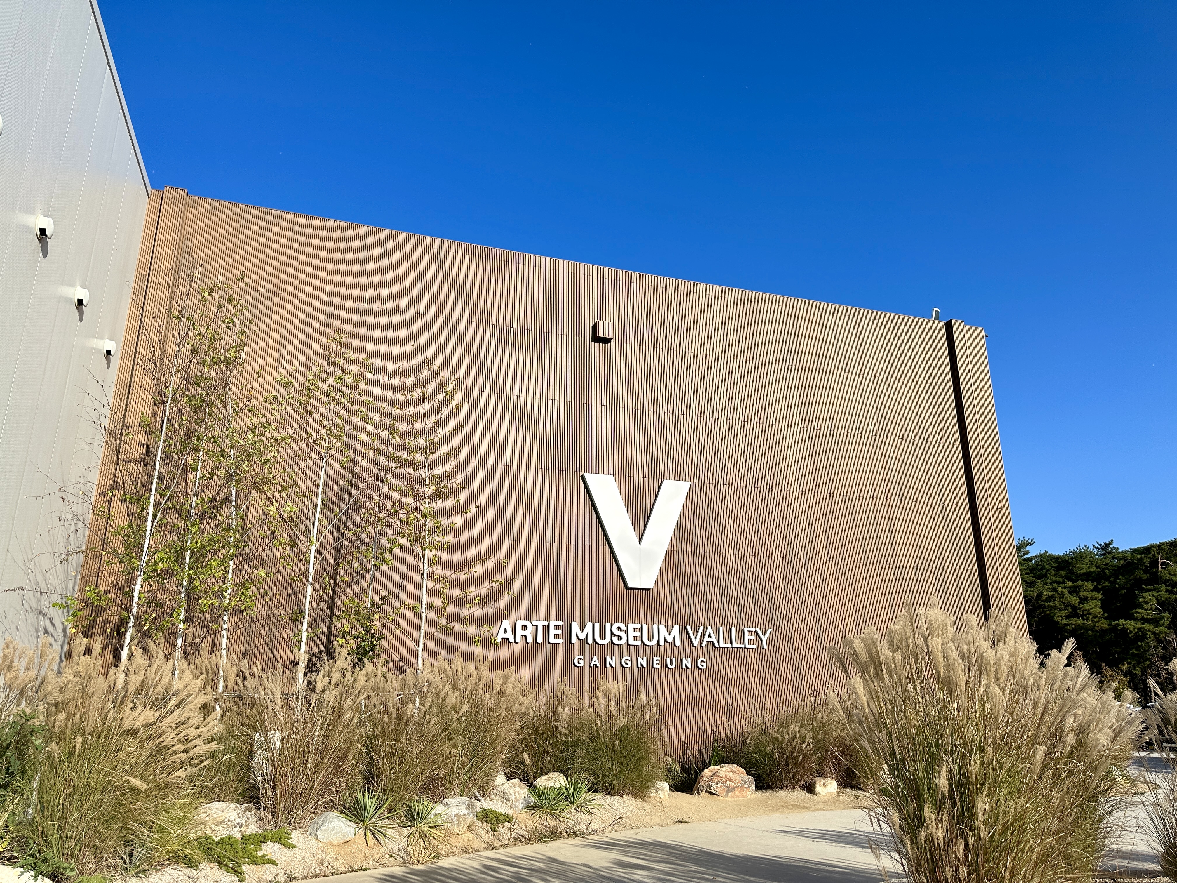 아르떼 뮤지엄 밸리 강릉