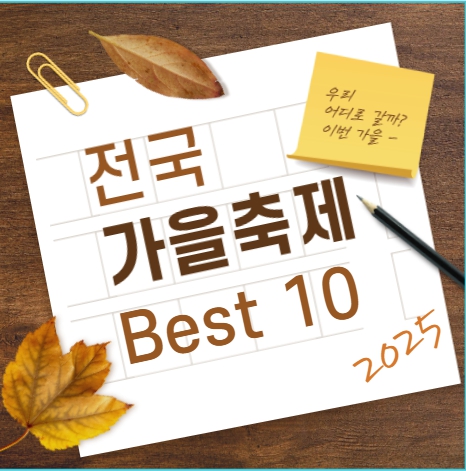 가을 축제 가볼만한 곳 가을 꽃축제 전국가을축제