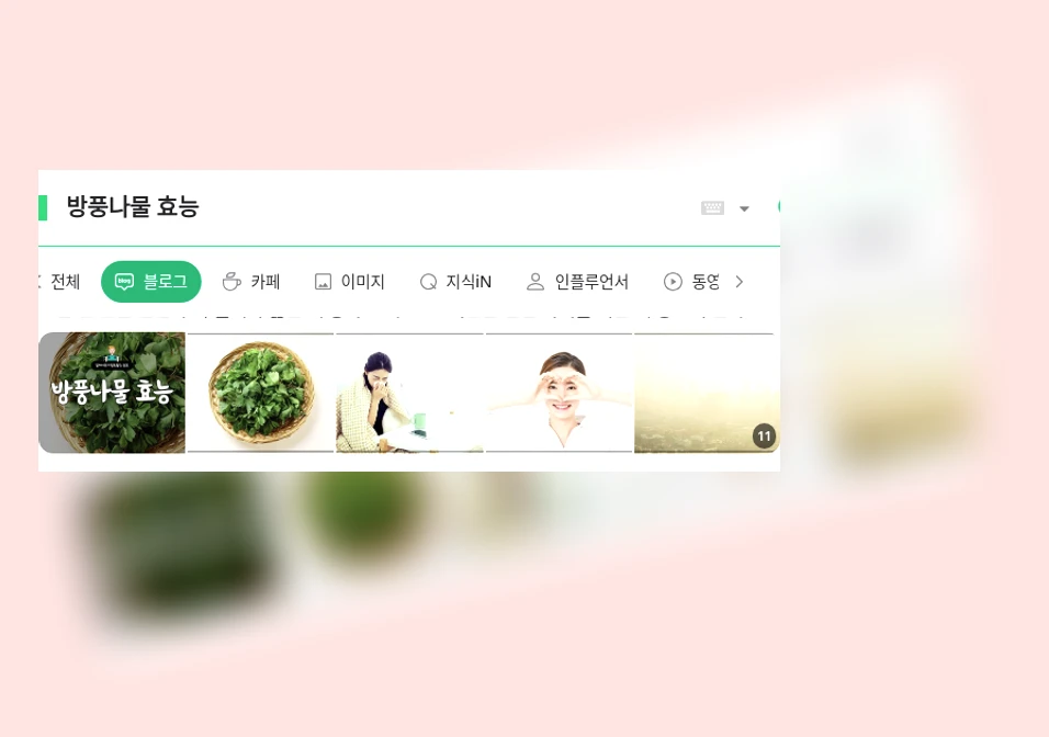 방풍나물 효능_1_subsection
