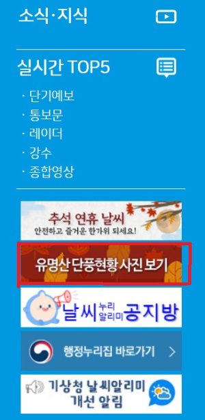 알트태그-기상청 홈페이지의 단풍현황 사진보기 배너