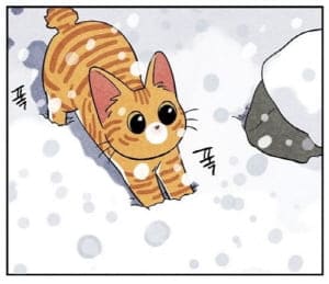 금복이야기-묘왕