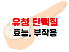 유청 단백질 효능과 부작용 포스팅 바로가기 이미지 04