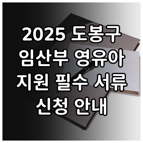 2025 도봉구 임산부 영유아 지원 ..