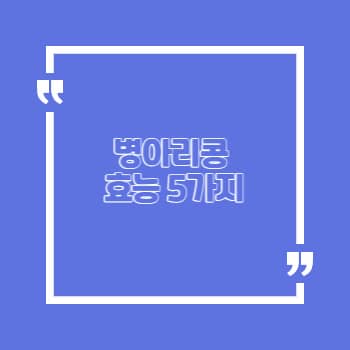 병아리콩 효능 5가지